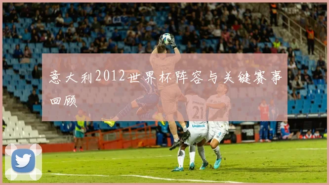 意大利2012世界杯阵容与关键赛事回顾