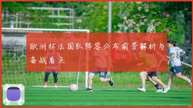 欧洲杯法国队阵容公布前景解析与备战看点