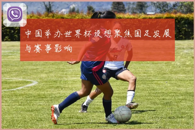 中国举办世界杯设想聚焦国足发展与赛事影响