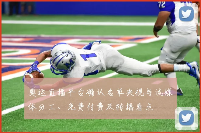 奥运直播平台确认名单央视与流媒体分工、免费付费及转播看点