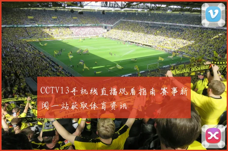 CCTV13手机线直播观看指南 赛事新闻一站获取体育资讯