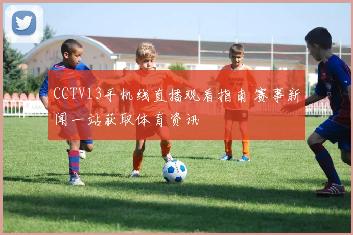 CCTV13手机线直播观看指南 赛事新闻一站获取体育资讯