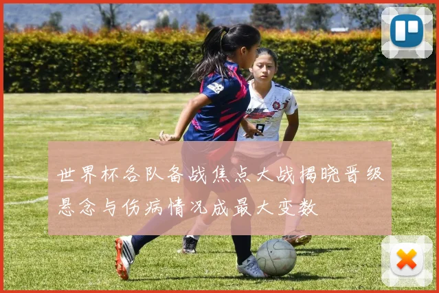 世界杯各队备战焦点大战揭晓晋级悬念与伤病情况成最大变数