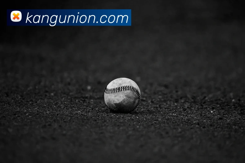 pg娱乐电子游戏官网登录入口平台生态图