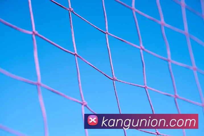 pg娱乐电子游戏官网登录入口全站App